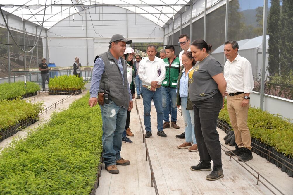 En el Edomex fueron construidos jardines de refugio para polinizadores y plantas propicias para la conservación de la mariposa monarca Foto: Especial