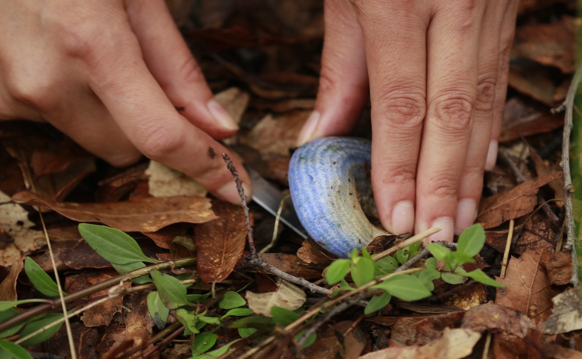 El recorrido culmina en las cocinas comunitarias, donde el fuego transforma los hallazgos del bosque en platillos que honran la tradición / Foto: Especial