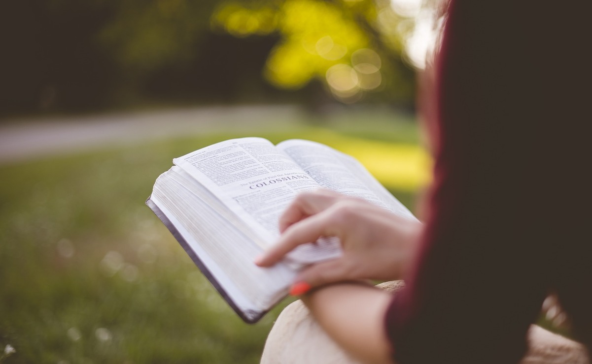 Los libros clásicos deben perdurar en el tiempo. Foto: Especial 