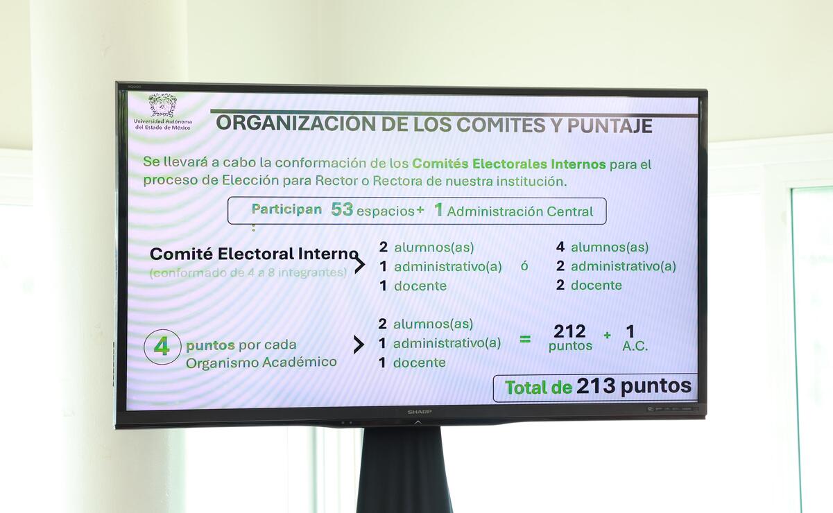 El proceso se llevará a cabo bajo el esquema de voto universal, libre, directo y secreto / Foto Alejandro Vargas