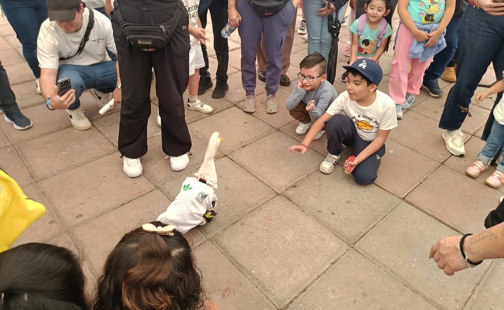 Tras ser nombrado Embajador del Mundial 2026, el famoso pato ha despertado el interés de diversas marcas que buscan comercializar su carismática imagen. Foto Especial