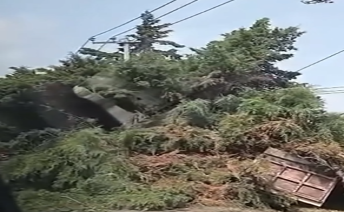 Accidente en la Toluca-Tenango: Torton choca contra árbol y afecta la circulación