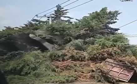 Accidente en la Toluca-Tenango: Torton choca contra árbol y afecta la circulación