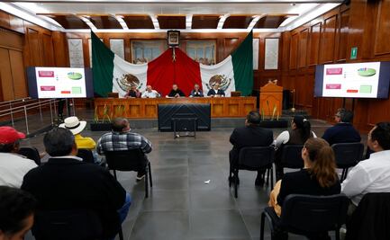 ¡Edomex blinda su maíz! Proponen hasta 30 años de cárcel para proteger variedades nativas