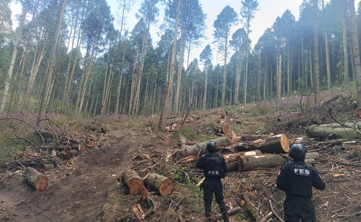 La primera acción se dio en un paraje ubicado en la comunidad de Coexapa / Foto: Especial