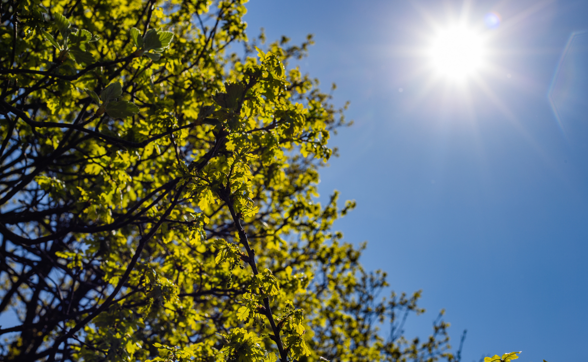 Temperaturas agradables en el Valle de México para mañana