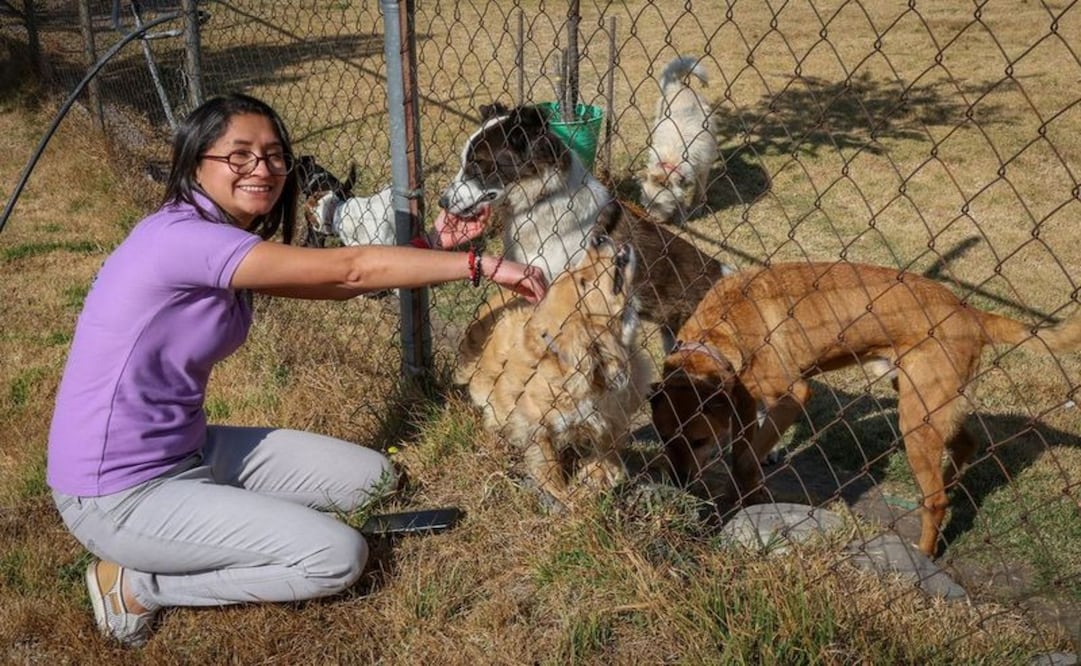 Susana Morales Ibarra, coordinadora del Programa de Esterilización de Perros y Gatos de la UAEMéx. Foto: Especial