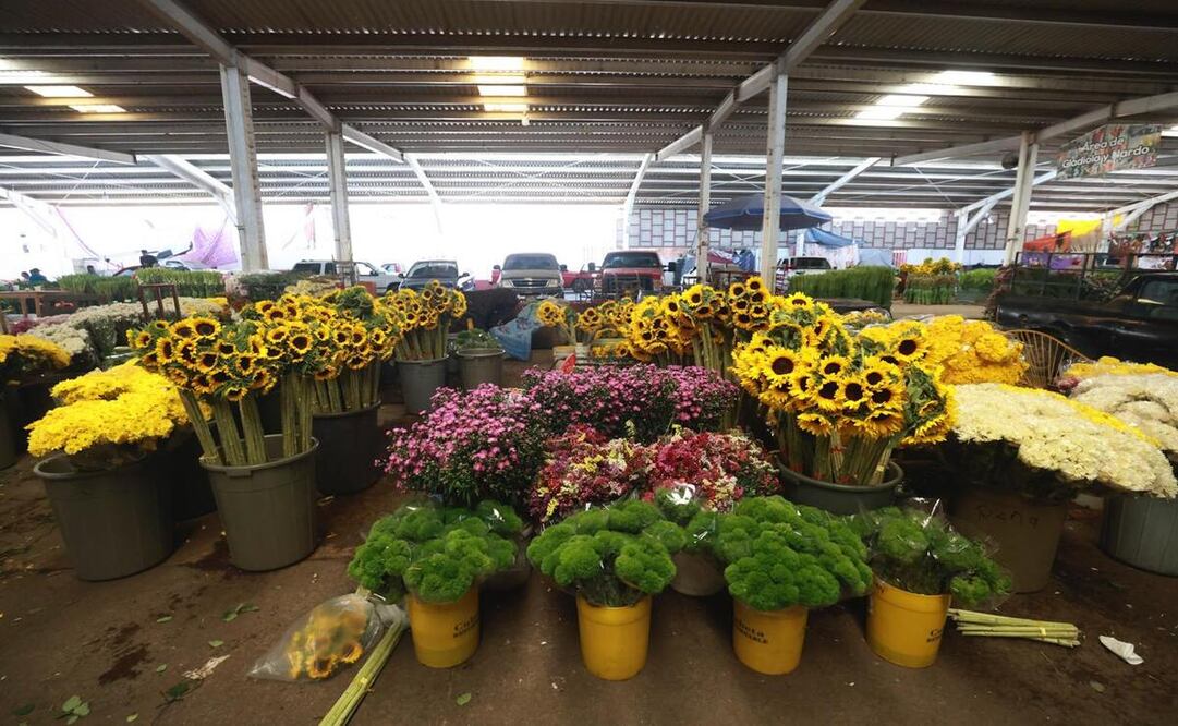 Productores ofrecerán cempasúchil, rosa, gladiola y nube en mercados locales / Foto Alejandro Vargas