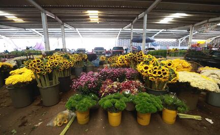 Día de Muertos impulsa la economía de Tenancingo, mercados de flores se preparan para la temporada alta