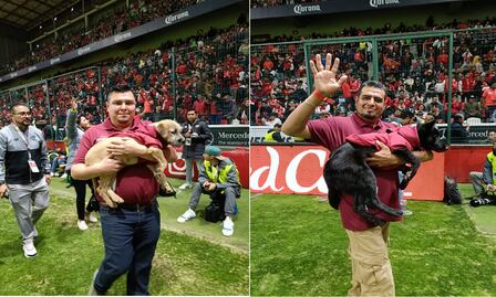 ¡Golazo por la adopción! Toluca FC y Cepanaf encuentran hogar a lomitos