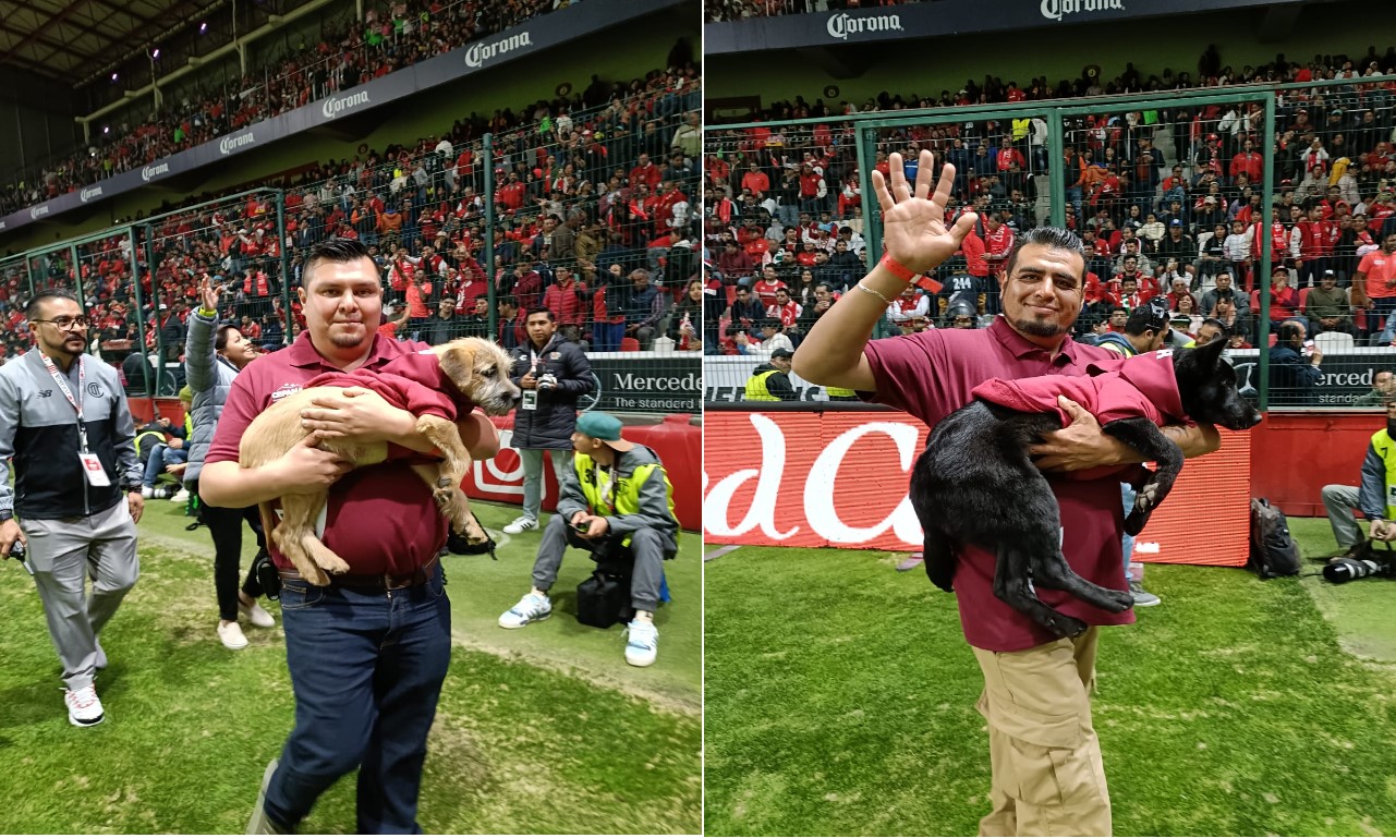¡Golazo por la adopción! Toluca FC y Cepanaf encuentran hogar a lomitos