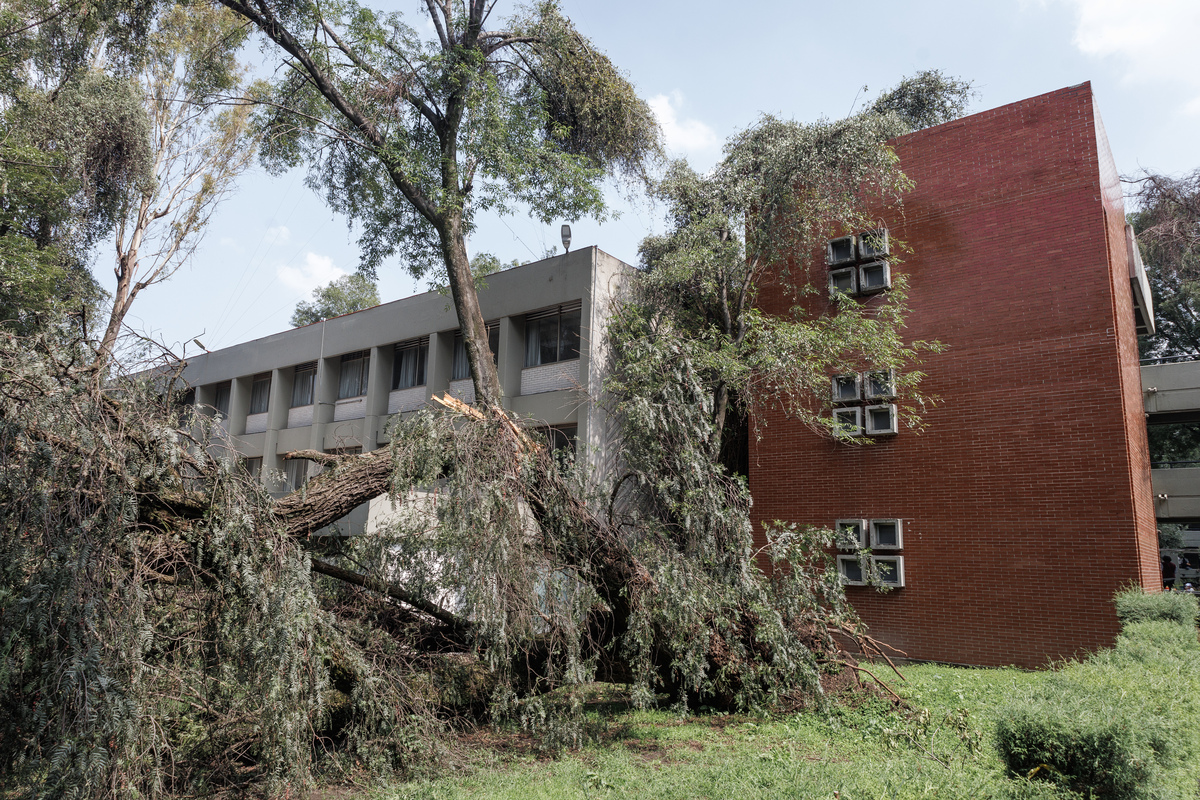 Estado de México 19/09/24 

La facultad de estudios superiores Acatlán a sufrido diversos desplomes de árboles provocados por las fuertes lluvias 

Yaretzy M. Osnaya | EL UNIVERSAL