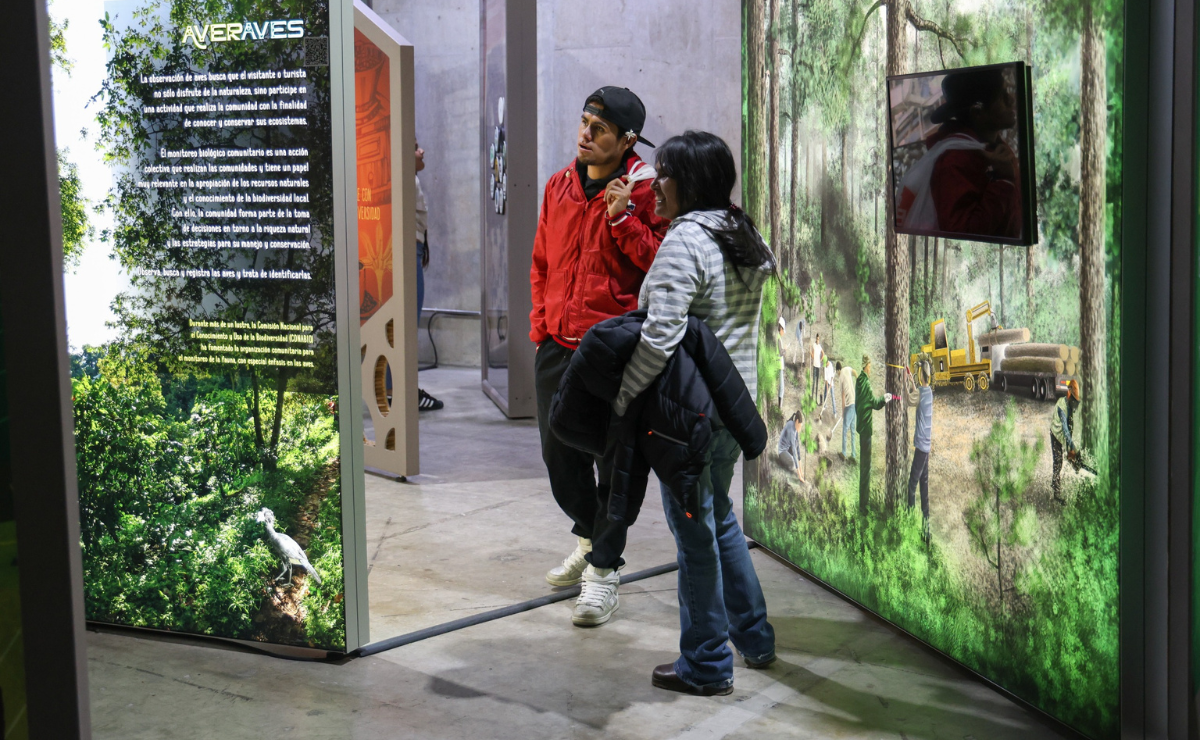 ¡Del campo a tu mesa! Saborea la naturaleza en la expo Producir Conservando. Foto: Arturo Hernández