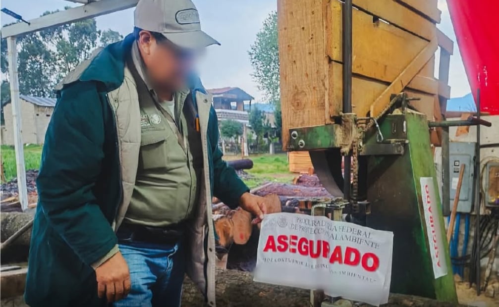 Personal de la Profepa coloca sellos de clausura total temporal en un Centro de Almacenamiento y Transformación (CAT) en Chapa de Mota. Foto Especial
