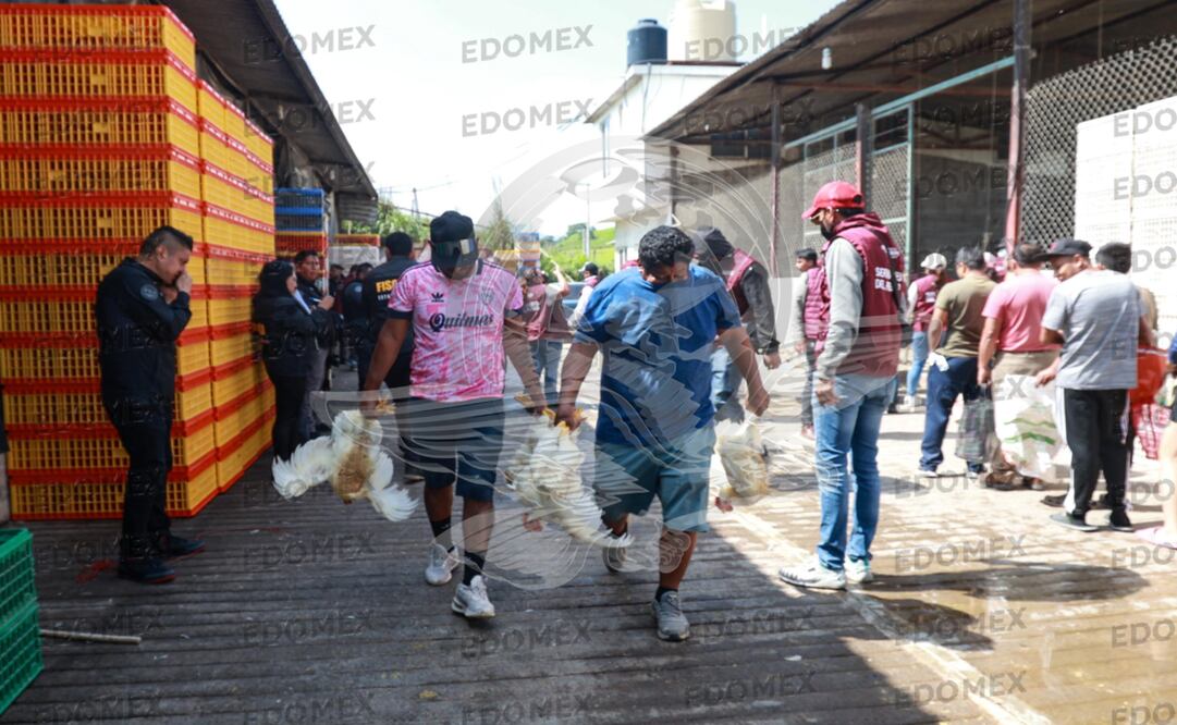 Era un lujo comer pollo en Tejupilco / Foto Alejandro Vargas