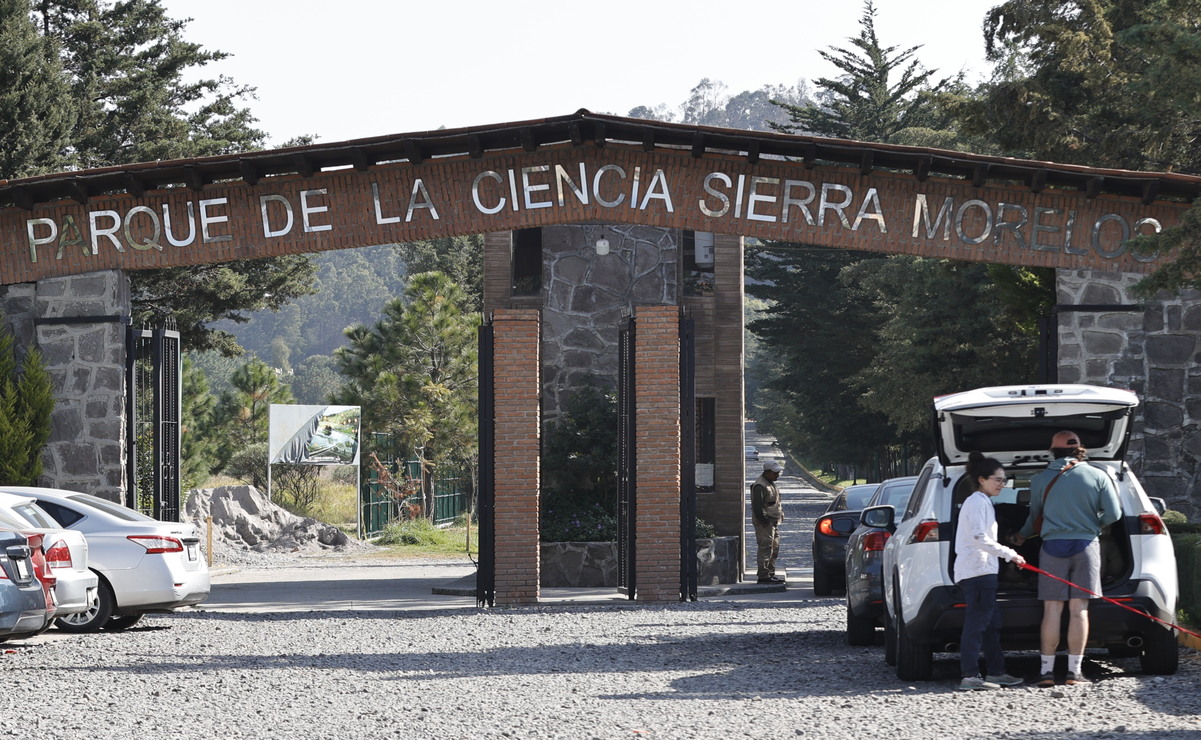 Además de la proliferación del lirio, el colectivo alerta sobre otros problemas graves como la posible existencia de drenajes ilegales dentro del Área Natural Protegida. Foto: Alejandro Vargas / El Universal Estado de México