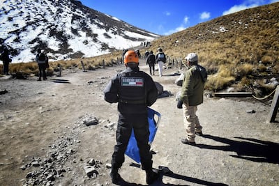 ¡SOS Nevado de Toluca! La tala clandestina lo está destruyendo