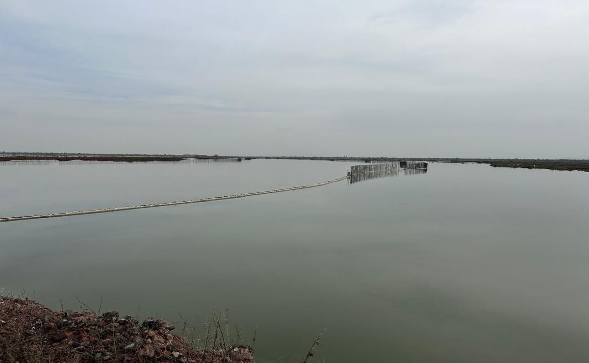 En la actual temporada de lluvias se han inundado más de mil 500 hectáreas del Área Natural Protegida  /Foto: Emilio Fernández