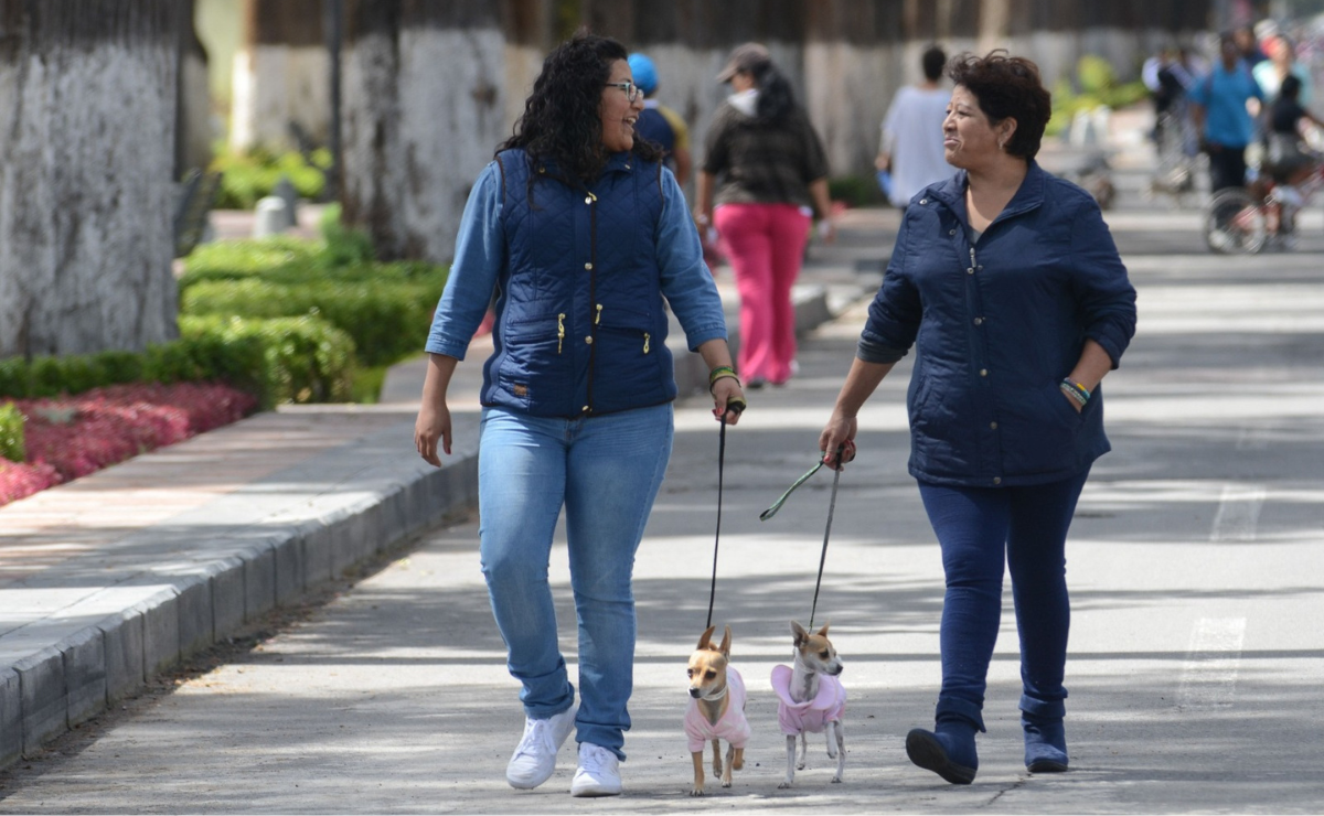 ¿Atrapados sin tiempo? En Edomex, menos del 6% de la población disfruta de suficiente tiempo libre. Una realidad que impacta nuestro bienestar. Foto: Arturo Hernández