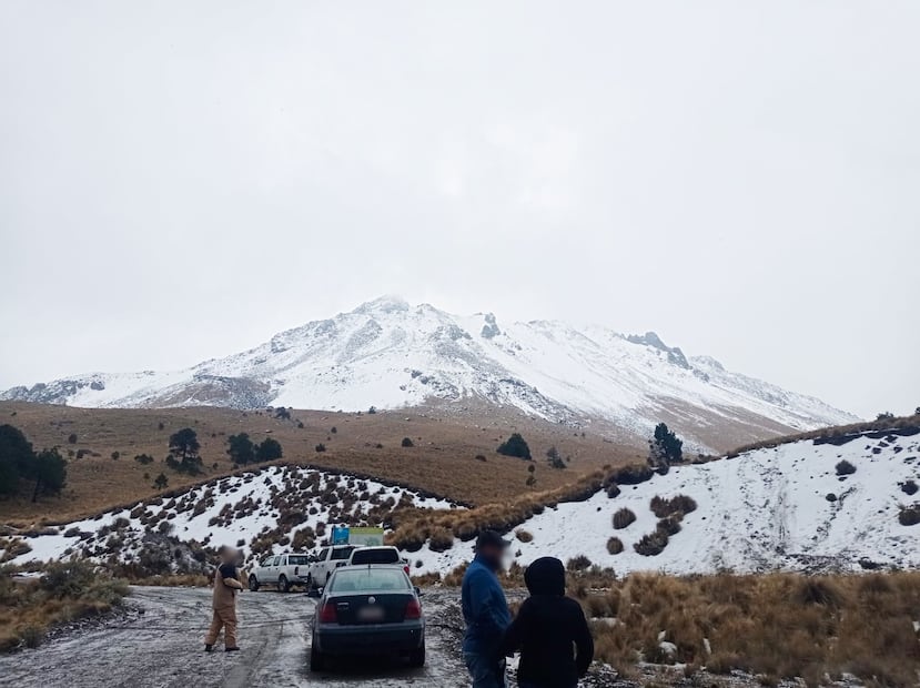 Inspectores de la Profepa evalúan los daños a la vegetación forestal en el sitio para sustentar la denuncia ante la FGR. Foto Especial