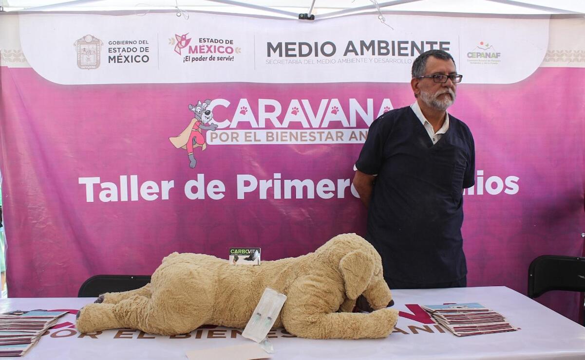 Las Caravana por el Bienestar Animal también ofrecerán pláticas sobre tenencia responsable y primeros auxilios para perros y gatos. Foto. Especial