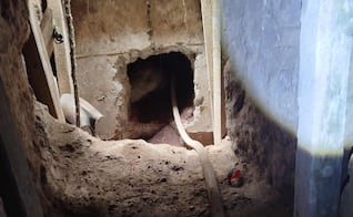 Hallan huachitúnel con toma clandestina conectada al poliducto Tuxpan-Azcapotzalco en Axapusco y Otumba