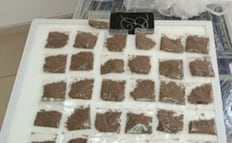 Operativo en Tlalnepantla termina con cinco detenidos por posesión de droga