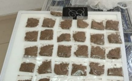 Operativo en Tlalnepantla termina con cinco detenidos por posesión de droga