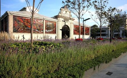 Cosmovitral de Toluca: Un oasis de arte y naturaleza que atrae a turistas y locales por igual