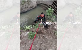 ¡Bombero heroico! rescata a dos cachorros abandonados en río de Tepotzotlán