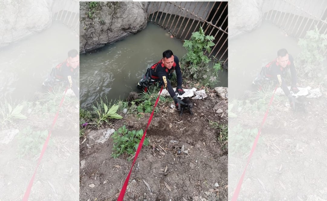El bombero Leo Yahir Romero encabezó el rescate, en la comunidad de Capula. Foto. Especial
