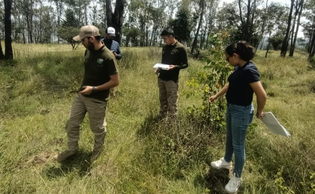Autoridades municipales y estatales realizaron un recorrido de supervisión en el Parque Ecológico Pichardo Pagaza. Foto Especial