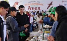 Ecatepec recibe distinción internacional y se corona como refugio de 270 especies de aves