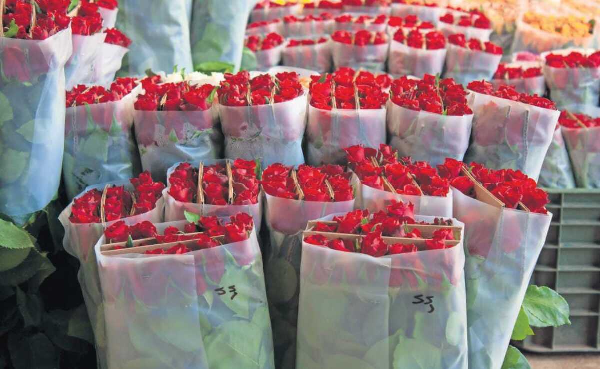 Dentro de los municipios del Estado de México, 27 se dedican a la producción de flor y follaje de corte. Foto: Arturo Hernández / El Universal Estado de México
