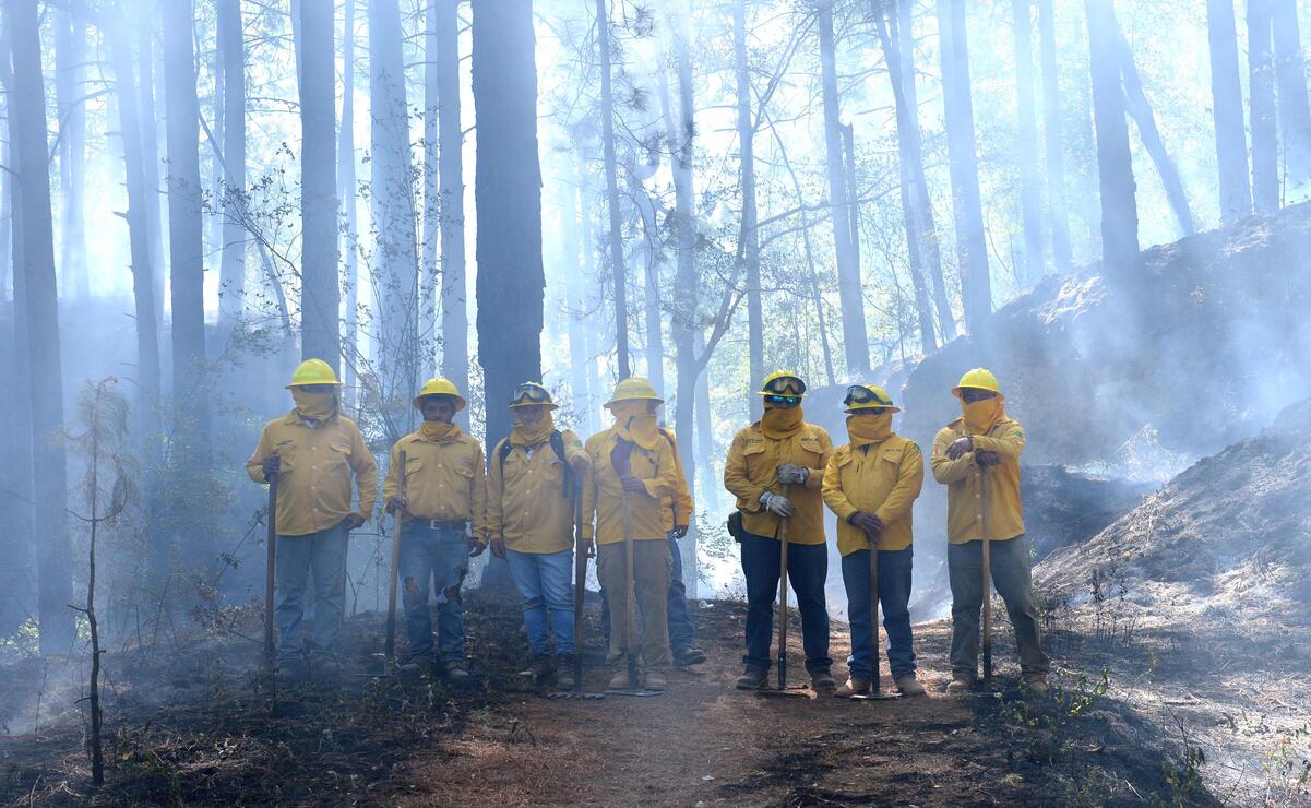 En 2024, se cubrieron mil 205 incendios forestales en el Estado de México / Foto: Especial
