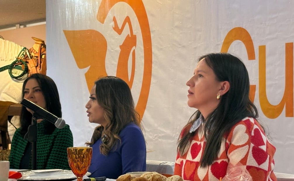 La legisladora Ruth Salinas Reyes señaló que la implementación del sistema de cuidados hoy depende de la "buena voluntad" municipal. Foto Especial