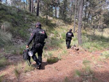 Hallan restos óseos en el Parque Nacional Iztaccíhuatl-Popocatépetl