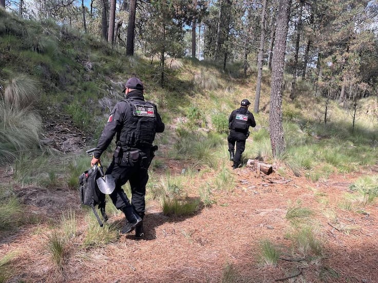 Hallan restos óseos en el Parque Nacional Iztaccíhuatl-Popocatépetl