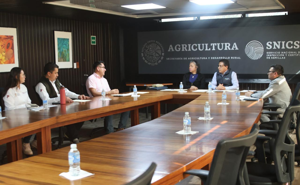 Innovación y belleza: el registro de Nitá y Maya. Foto: Especial