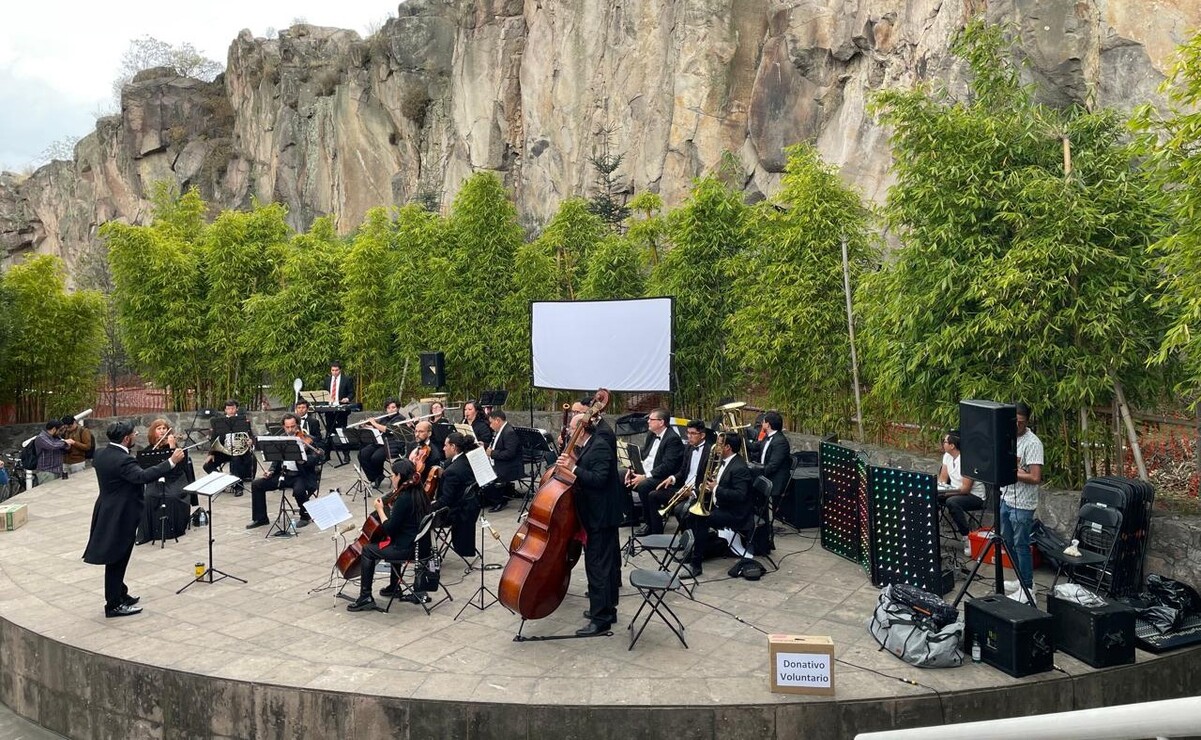 Este concierto es una de las experiencias que tiene preparadas la Dirección de Apoyo a la Juventud para cada fin de mes. Foto: Especial