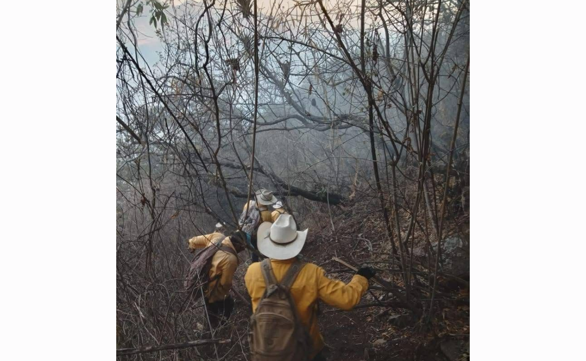 El humo del incendio forestal cubre el paisaje de Ocuilan, afectando la calidad del aire y la visibilidad. Foto: Especial