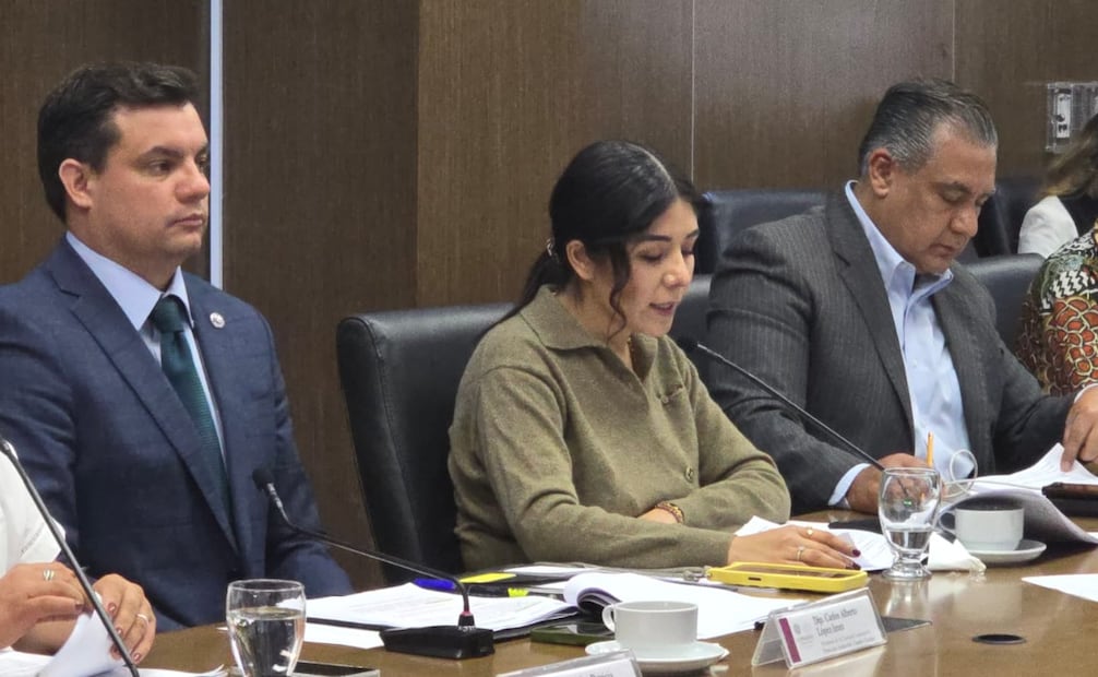 La nueva ley reconoce a los animales como seres sintientes con derechos legales. Foto Especial