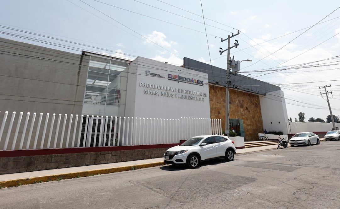 En la entidad se han entregado 65 de las 150 fichas disponibles para el segundo periodo de adopciones. Foto: Alejandro Vargas / El Universal Estado de México