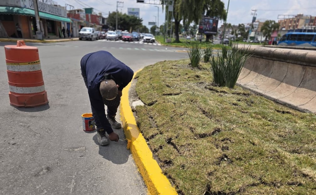 También se realizaron trabajos de balizamiento y colocación de pasto en el área intervenida. Foto especial