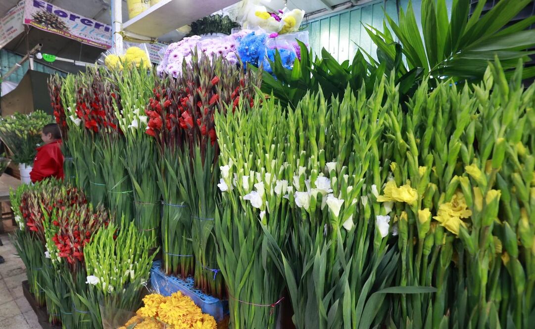 Este año el costo de las flores encareció más del 20%, principalmente la gladiola, cempasúchil y la nube. Foto: Alejandro Vargas