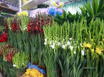 Aumentan precios de las flores para el Día de Muertos en el Edomex