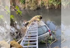 Cae camioneta a aguas negras del Emisor Poniente... ¡y no hay rastro del conductor!