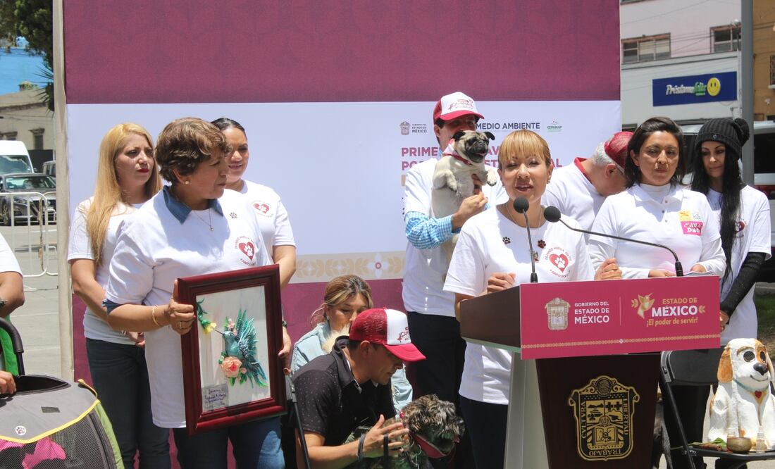 Habrá un módulo de la FGJEM para atender denuncias sobre maltrato animal. Foto Especial