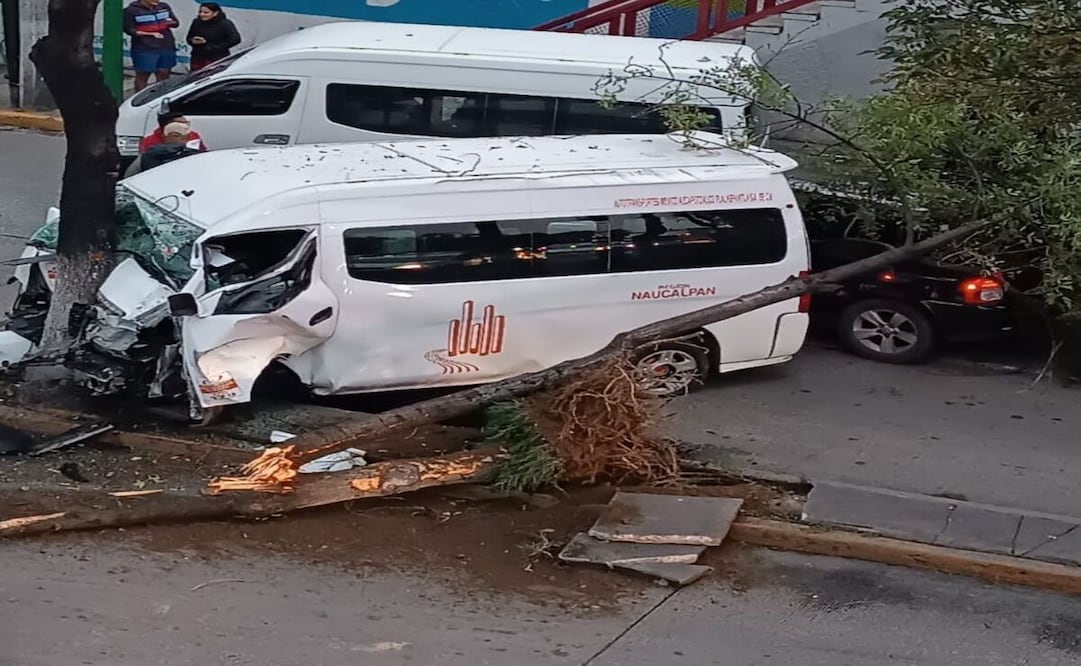 La unidad de transporte público chocó a otra camioneta y terminó impactándose contra un árbol. Foto: Especial