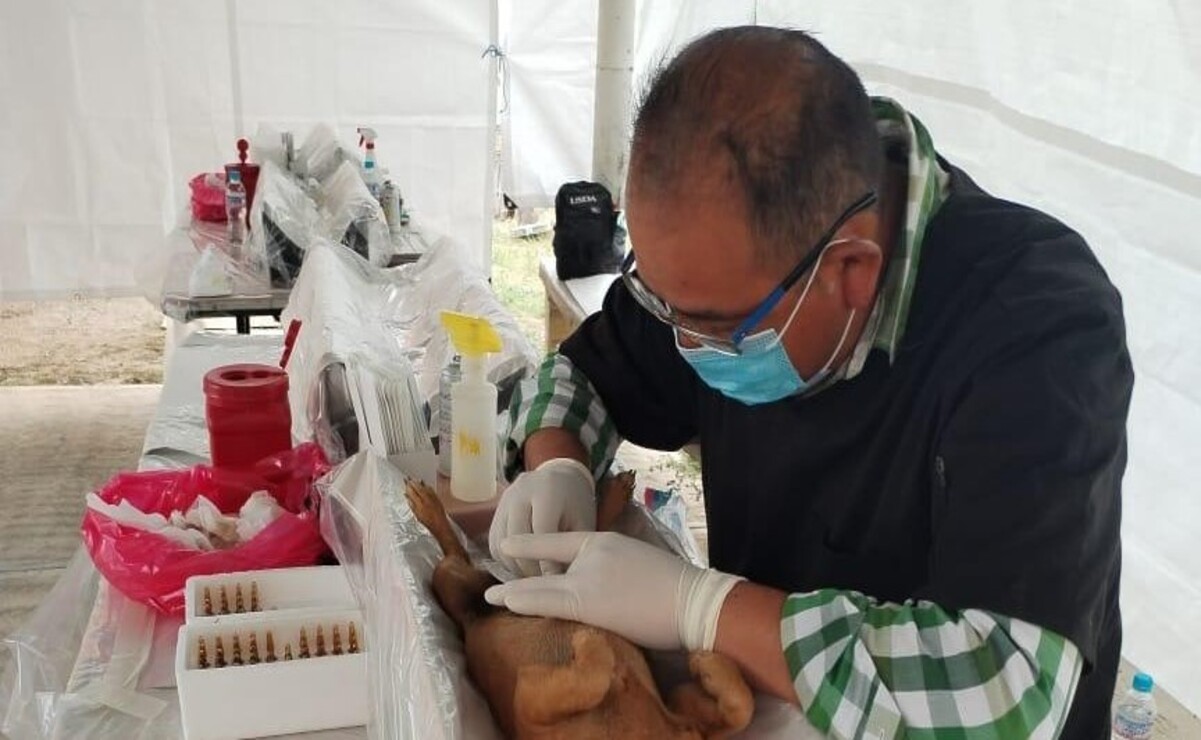 Cepanaf imparte pláticas sobre los beneficios de la esterilización. Foto: Especial